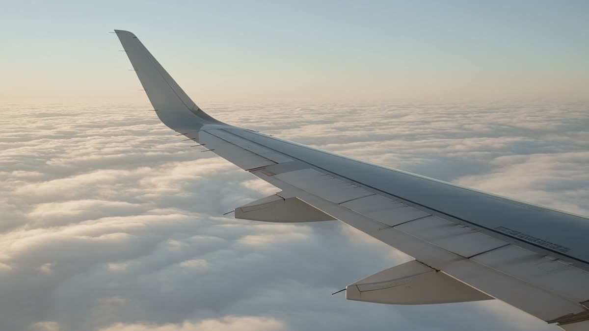 Travel Insurance